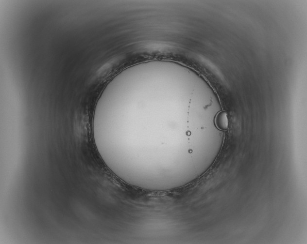 X0000112920918200908241223