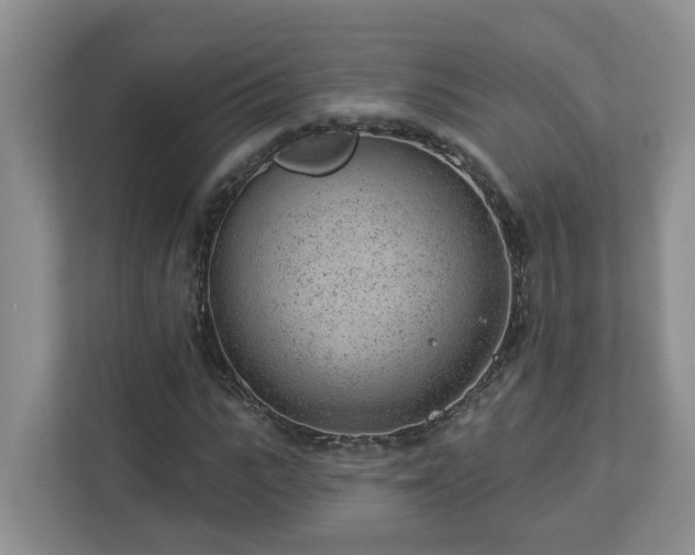 X0000112920919200908241223