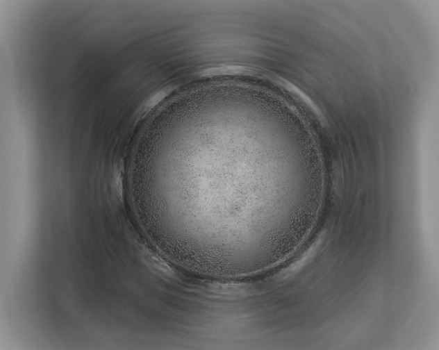 X0000112920921200908241223
