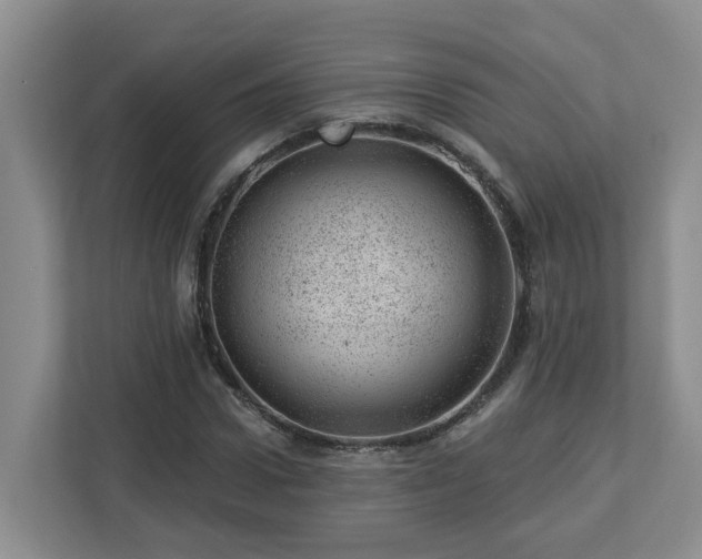 X0000112920922200908241223