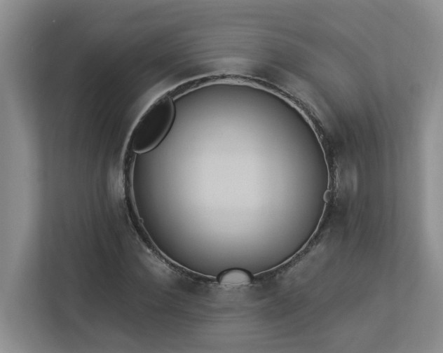 X0000112920924200908241223