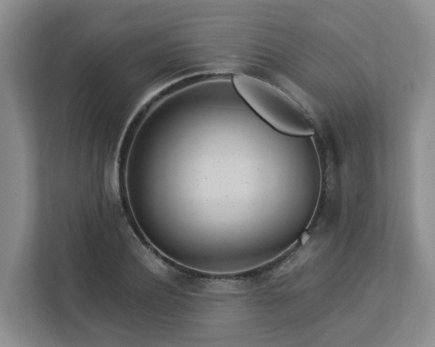 X0000112920932200908241223