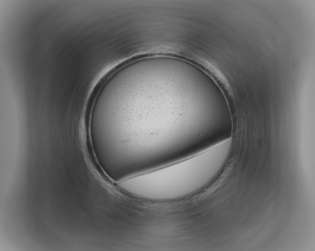 X0000112920936200908241223