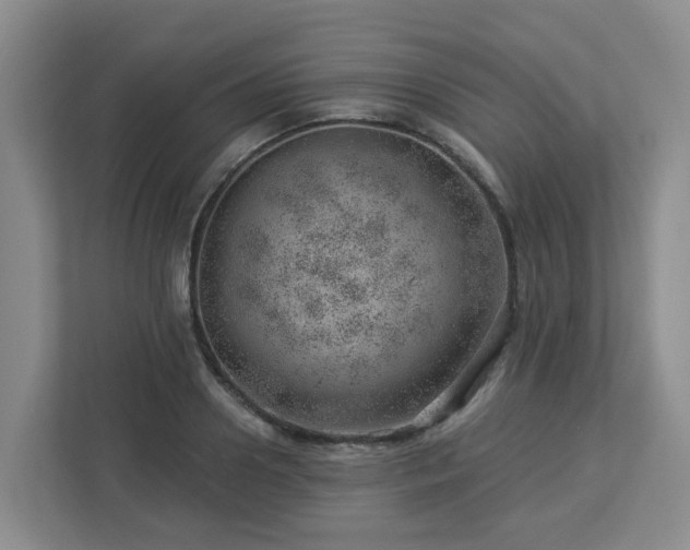 X0000112920938200908241223