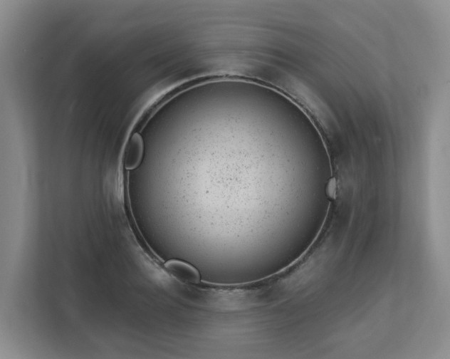 X0000112920940200908241223