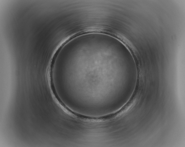 X0000112920941200908241223