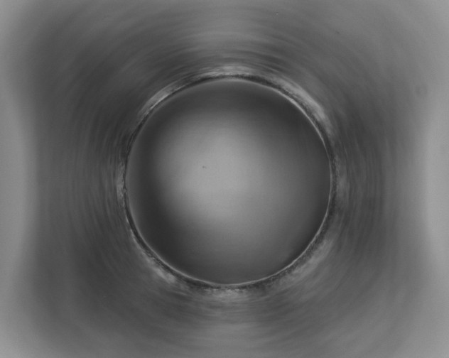 X0000112920945200908241223