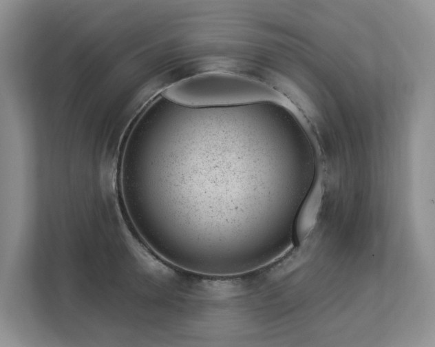 X0000112920946200908241223