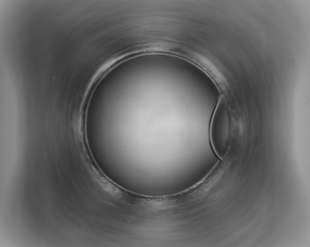 X0000112920948200908241223