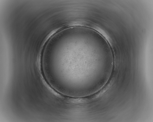 X0000112920949200908241223