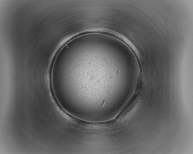 X0000112920951200908241223