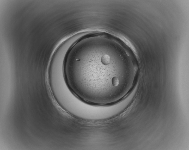 X0000112920952200908241223