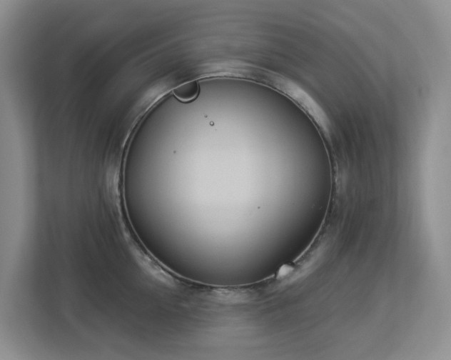 X0000112920954200908241223