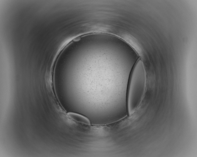 X0000112920956200908241223