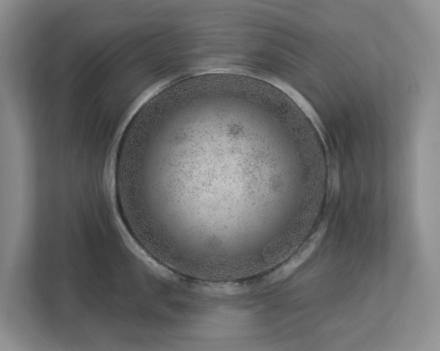 X0000112920957200908241223