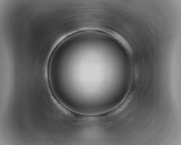 X0000112920958200908241223