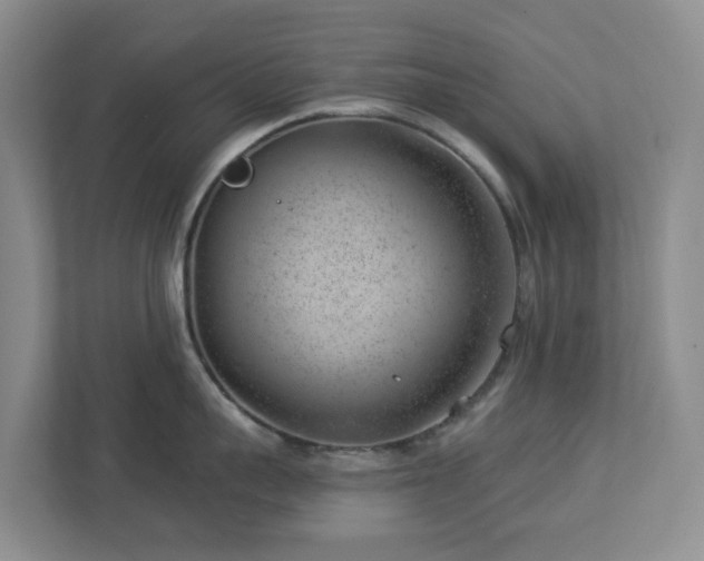 X0000112920959200908241223
