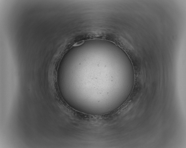 X0000112920961200908241223