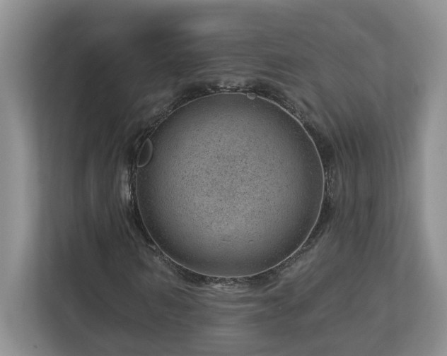 X0000112920962200908241223