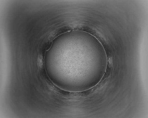 X0000112920963200908241223