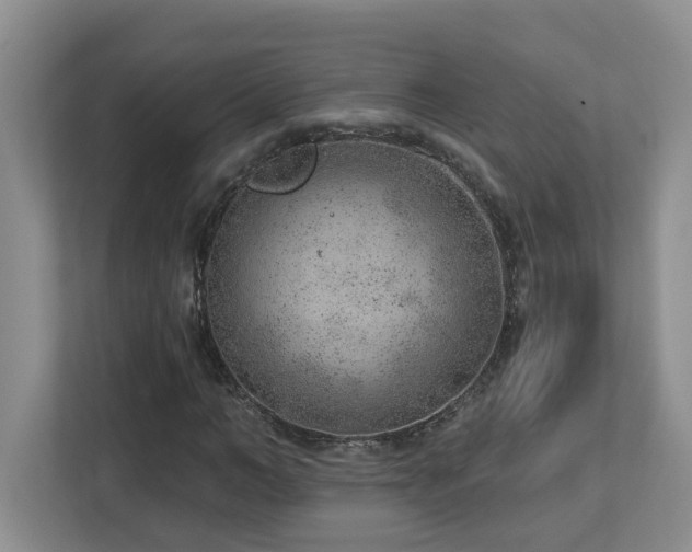 X0000112920966200908241223