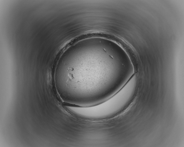 X0000112920969200908241223
