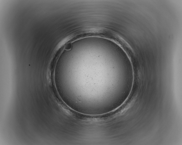 X0000112920970200908241223