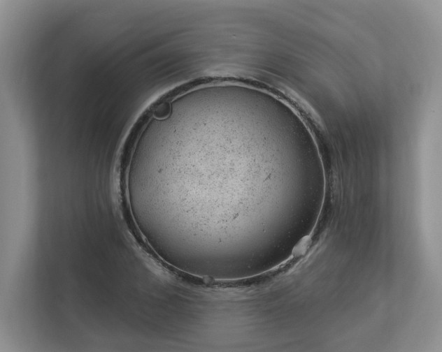 X0000112920976200908241223