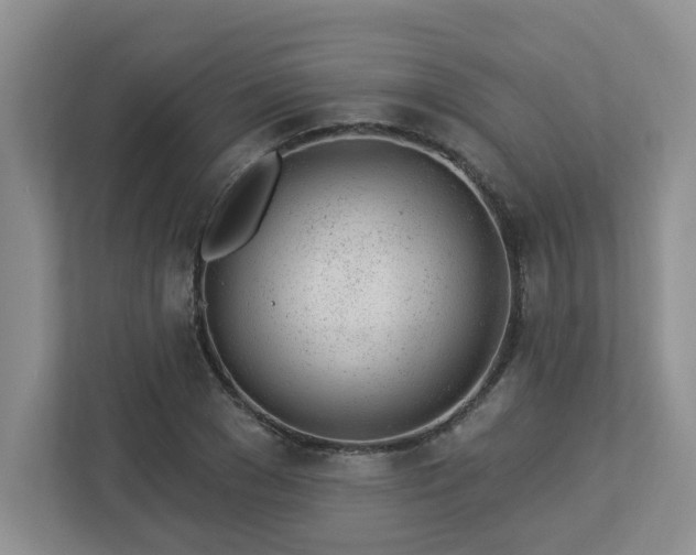 X0000112920977200908241223
