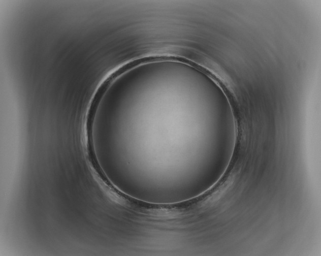 X0000112920980200908241223