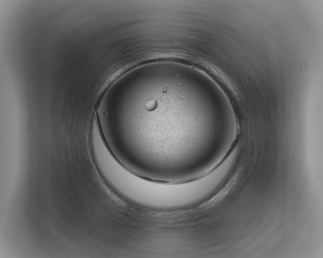 X0000112920985200908241222