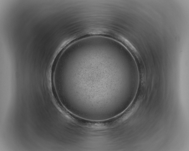 X0000112920986200908241222