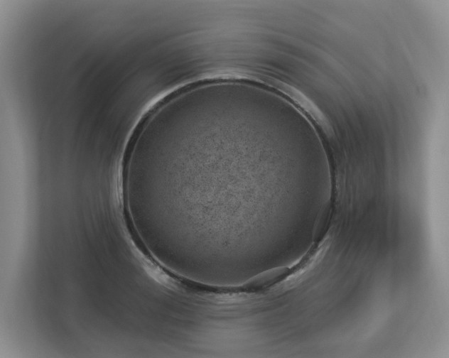 X0000112920988200908241222