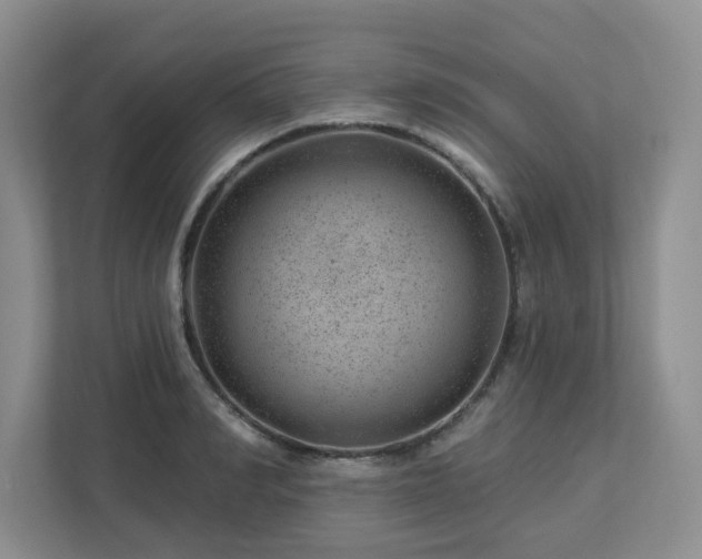 X0000112920990200908241222