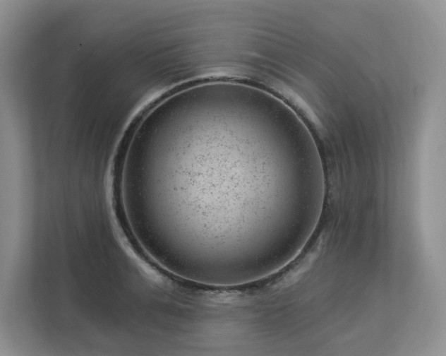X0000112920991200908241222