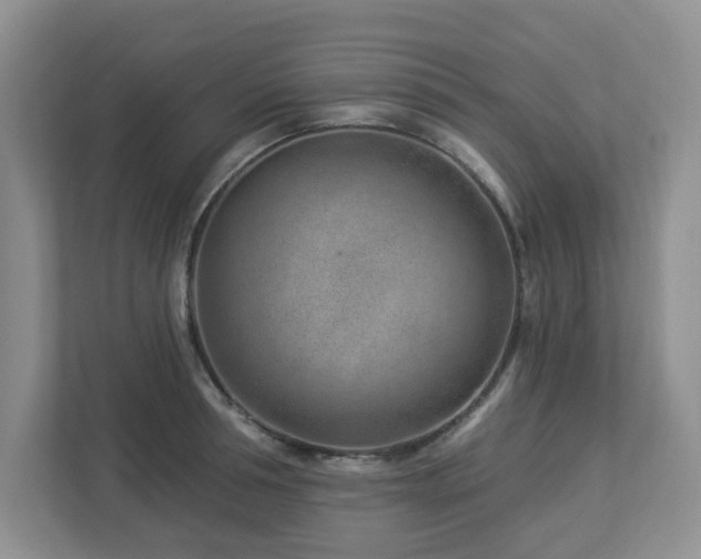 X0000112920994200908241222