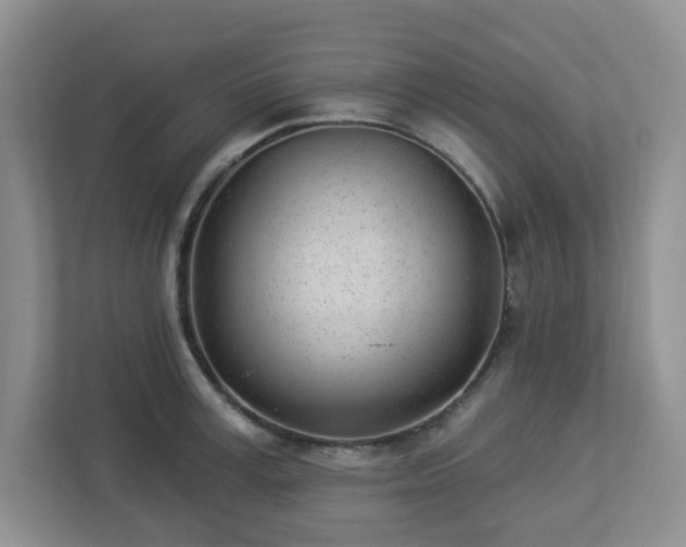 X0000112920995200908241222