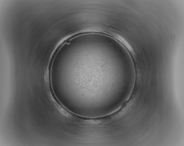 X0000112920996200908241222