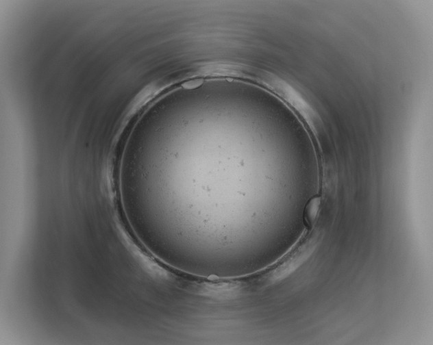 X0000112920997200908241222