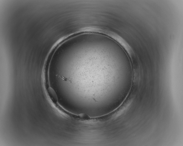 X0000112920999200908241222