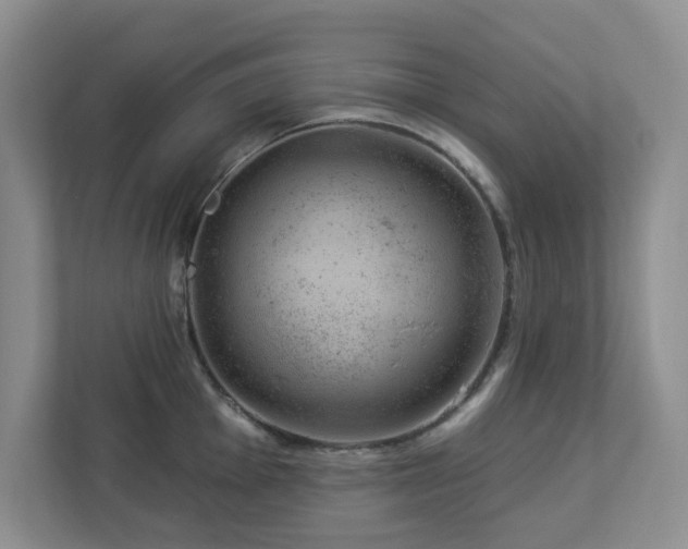 X0000112921001200908241222