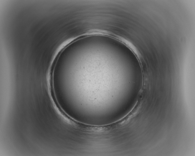 X0000112921003200908241222