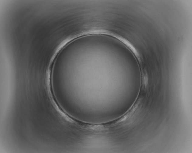 X0000112921006200908241222