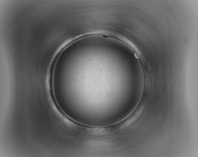 X0000112921007200908241222