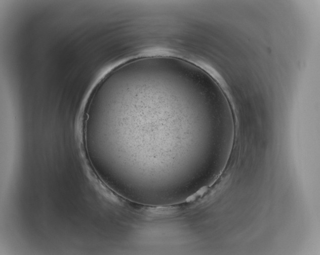 X0000112921008200908241222