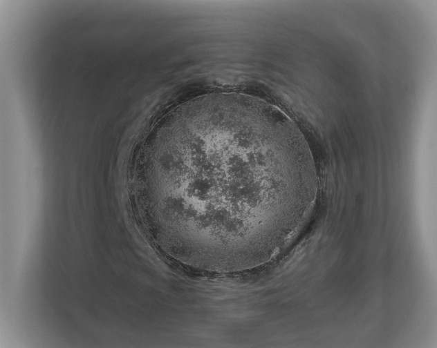 X0000112921009200908241222