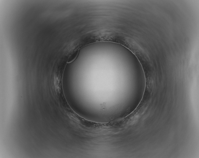 X0000112921010200908241222