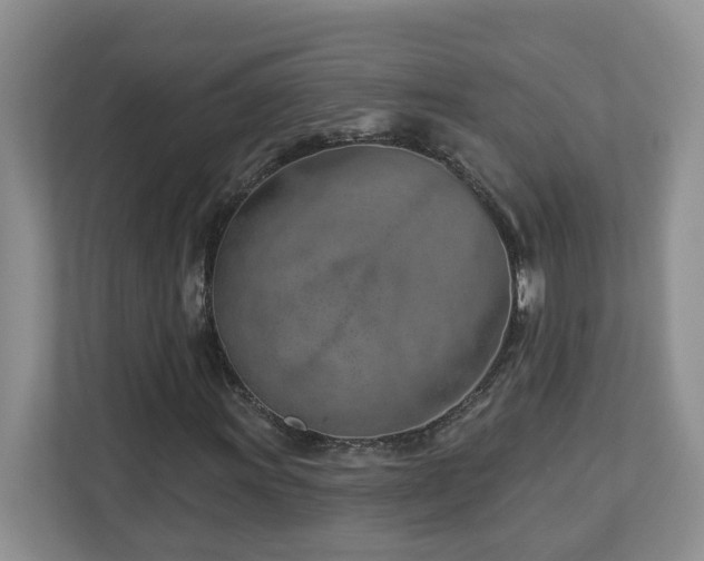 X0000112921011200908241222