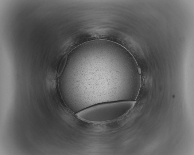 X0000112921012200908241222