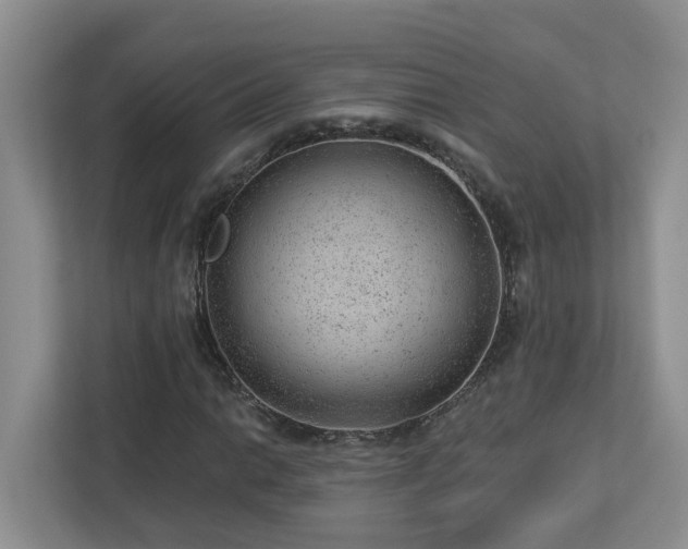 X0000112921014200908241222